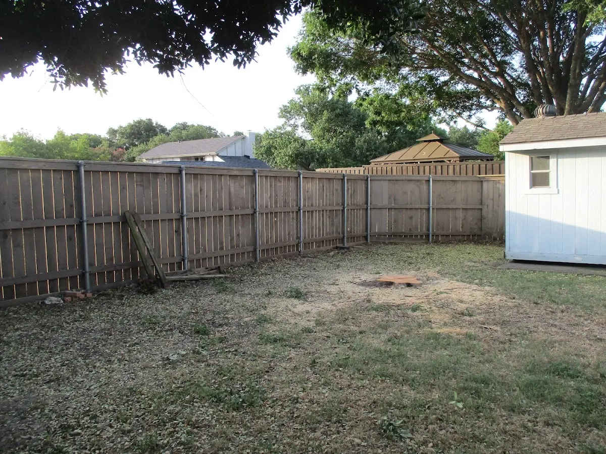 Cleared yard after professional tree removal in Plessis